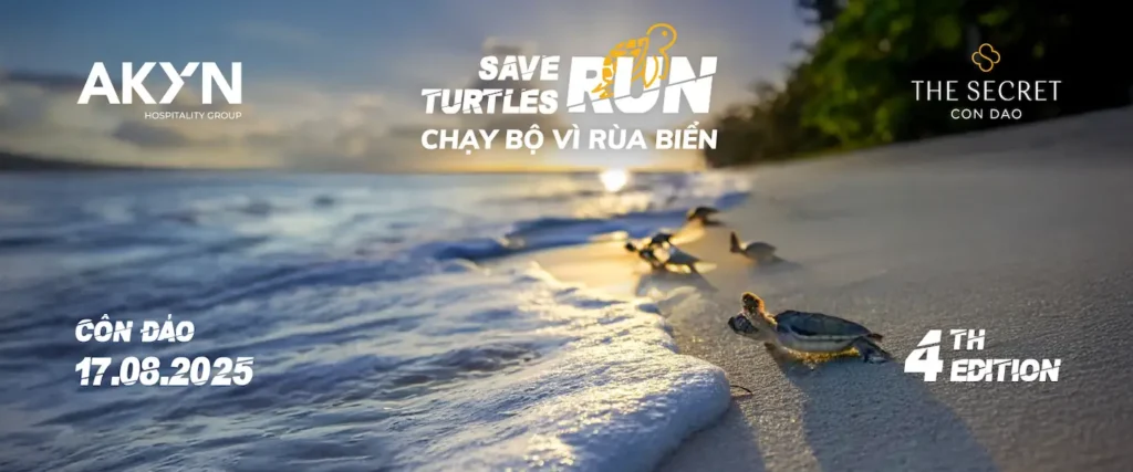 Ảnh gom nhóm chạy vì rùa biển 2025